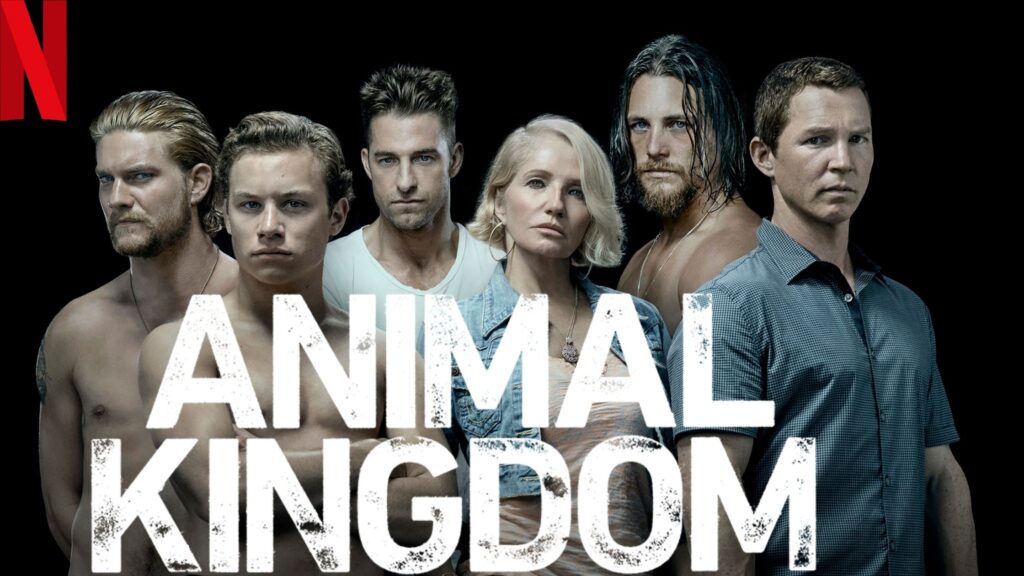 Watch Animal Kingdom All 4 Seasons on NetFlix From Anywhere in the World