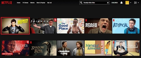 How to Watch Brooklyn Nine Nine all 7 seasons on NetFlix From Anywhere in The World   VPN Helpers - 45