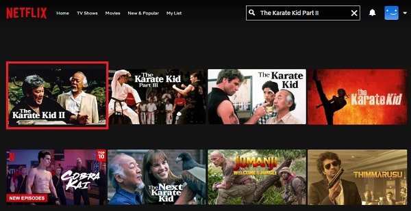 Watch The Karate Kid Part II  1986  on Netflix From Anywhere in the World - 63