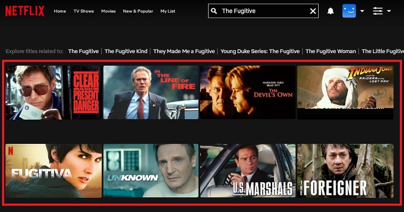 Watch The Fugitive  1993  on Netflix From Anywhere in the World - 11